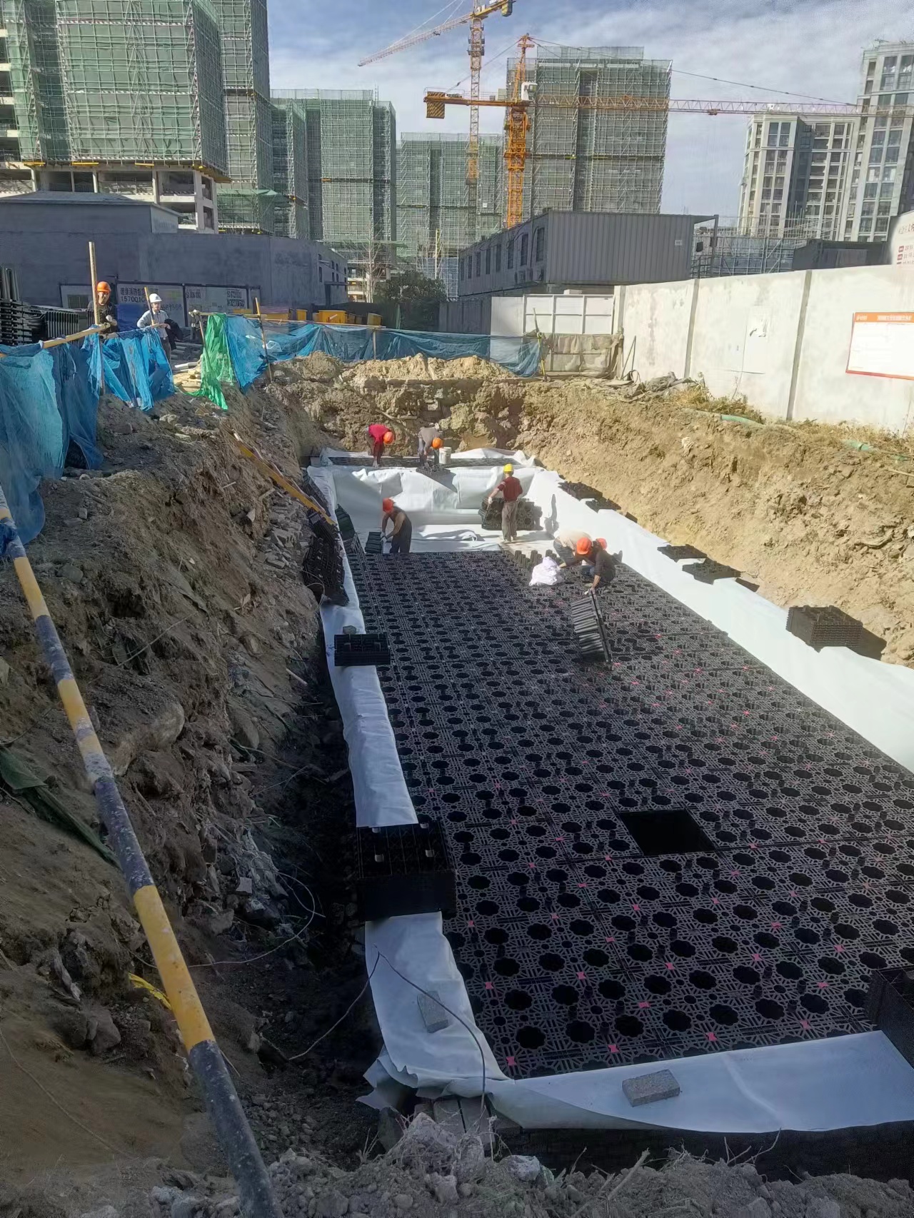 1703214558104421.jpg 2.jpg